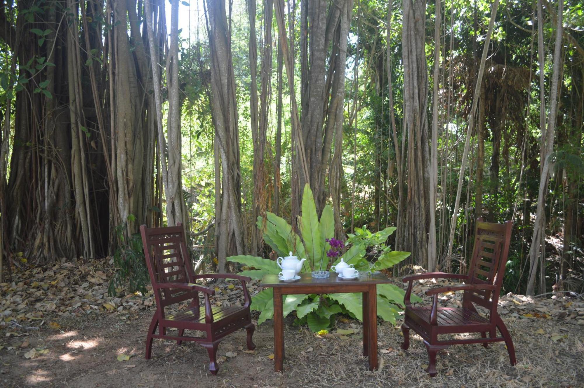 Amazon Cabanas 蒂瑟默哈拉默 外观 照片