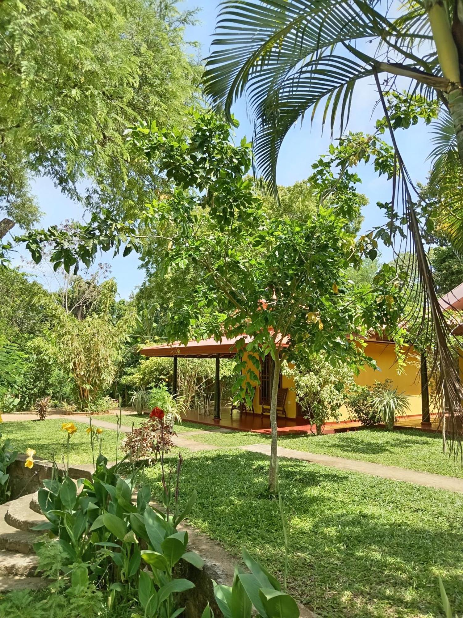 Amazon Cabanas 蒂瑟默哈拉默 外观 照片