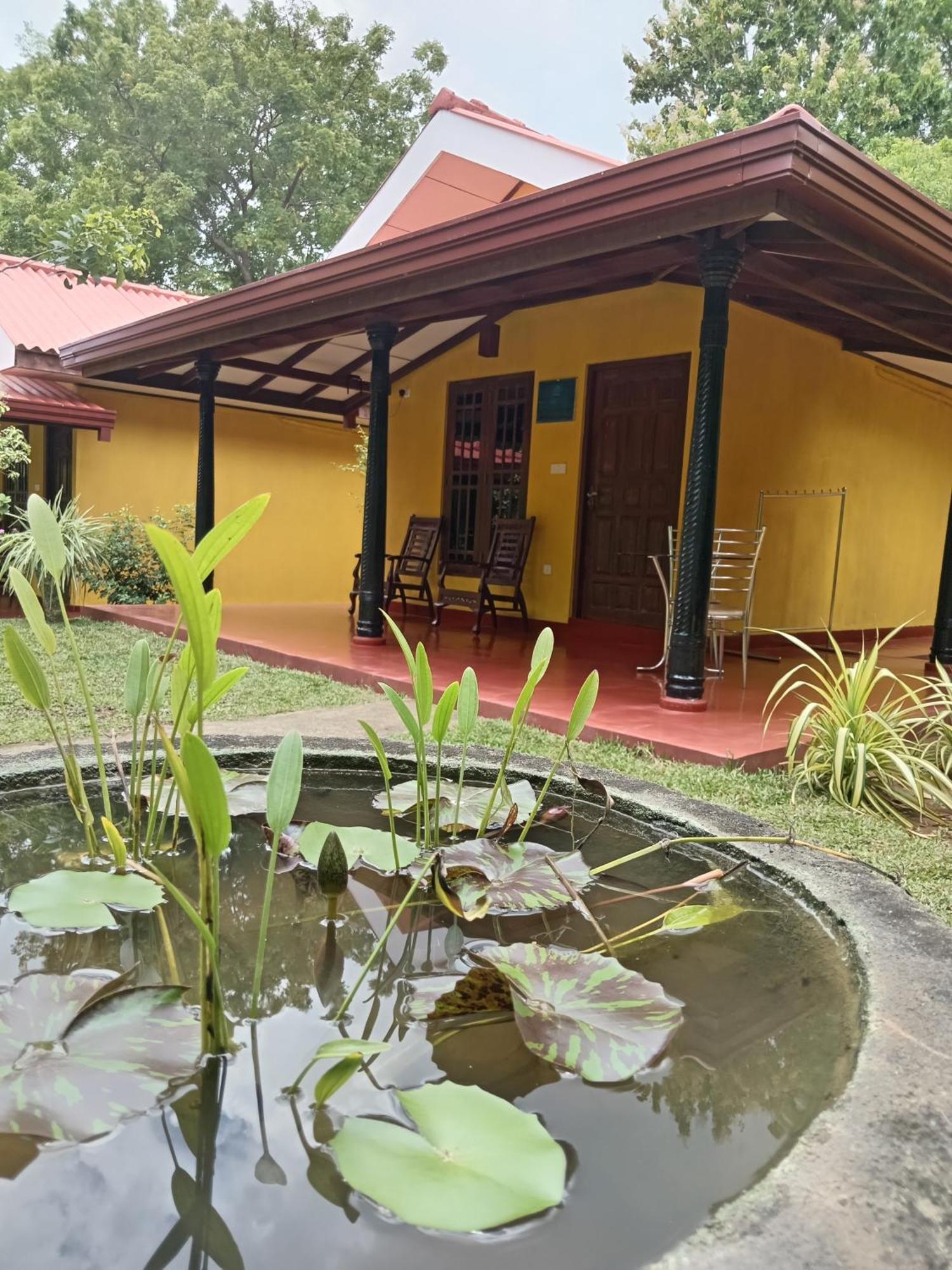 Amazon Cabanas 蒂瑟默哈拉默 外观 照片