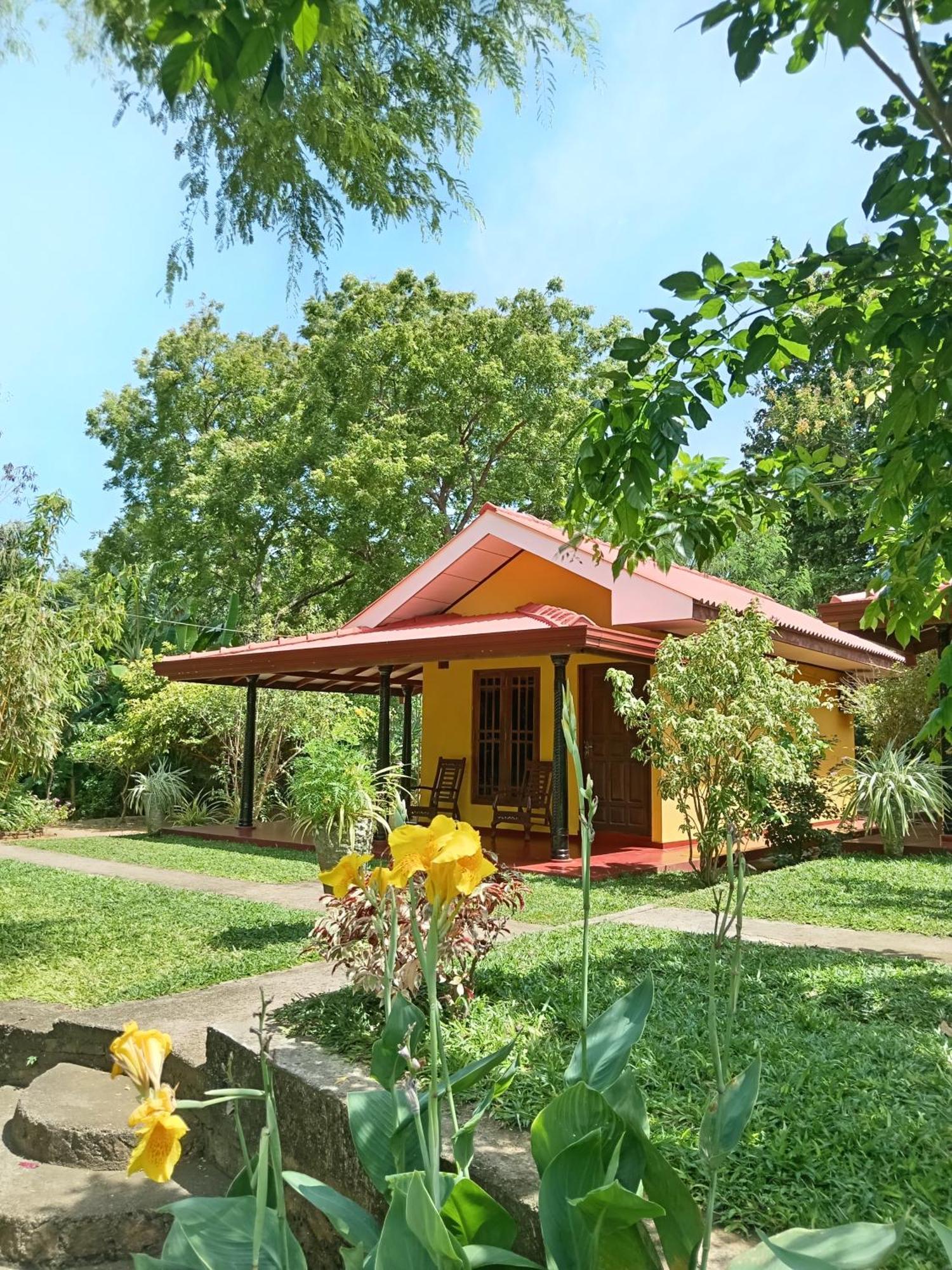 Amazon Cabanas 蒂瑟默哈拉默 外观 照片