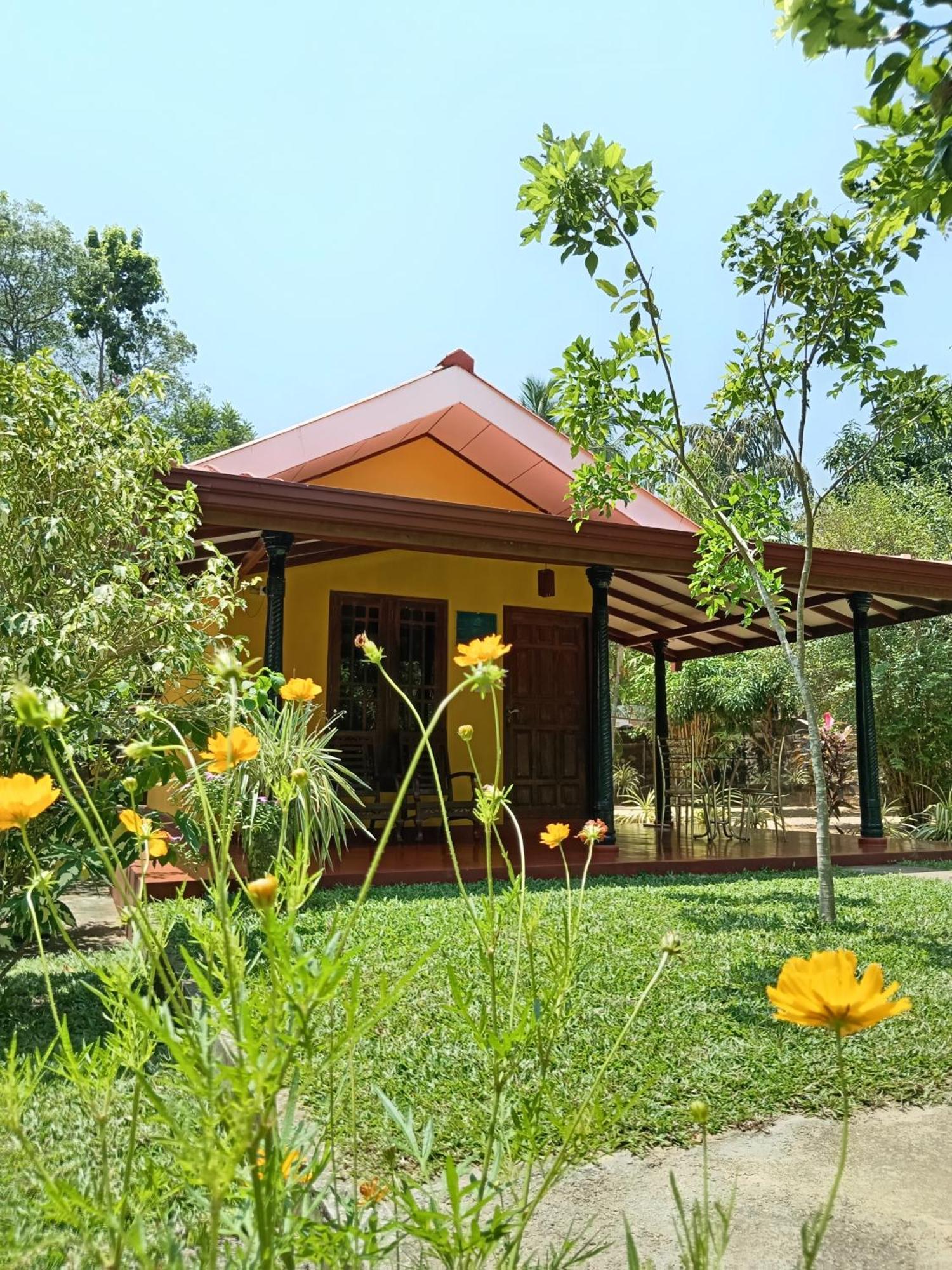 Amazon Cabanas 蒂瑟默哈拉默 外观 照片